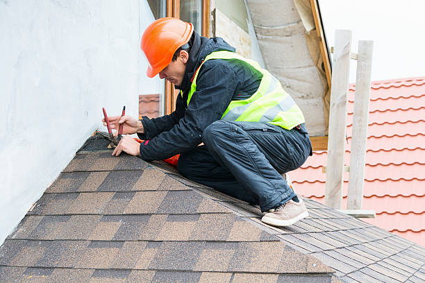 Best Roof Gutter Cleaning  in Neenah, WI